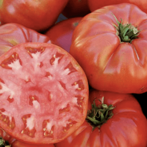 Close-up of ripe heirloom tomatoes with one sliced open.